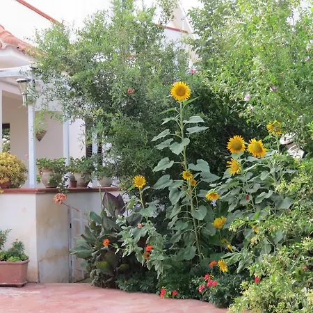 Villa Il Roseto Di Betty Piano T E 1
