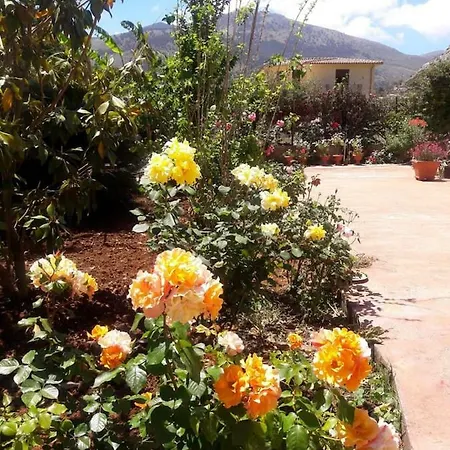 Il Roseto Di Betty Piano T E 1