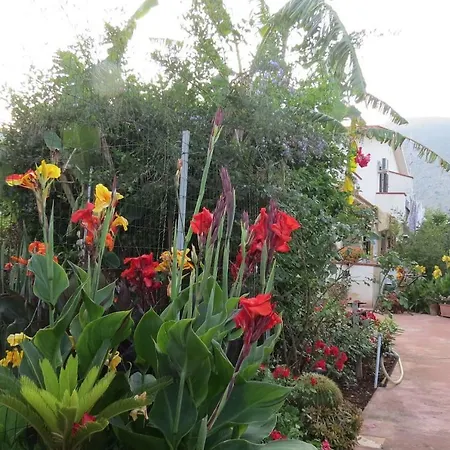 Il Roseto Di Betty Piano T E 1 * Palermo